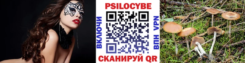 Псилоцибиновые грибы Psilocybe  Гремячинск 
